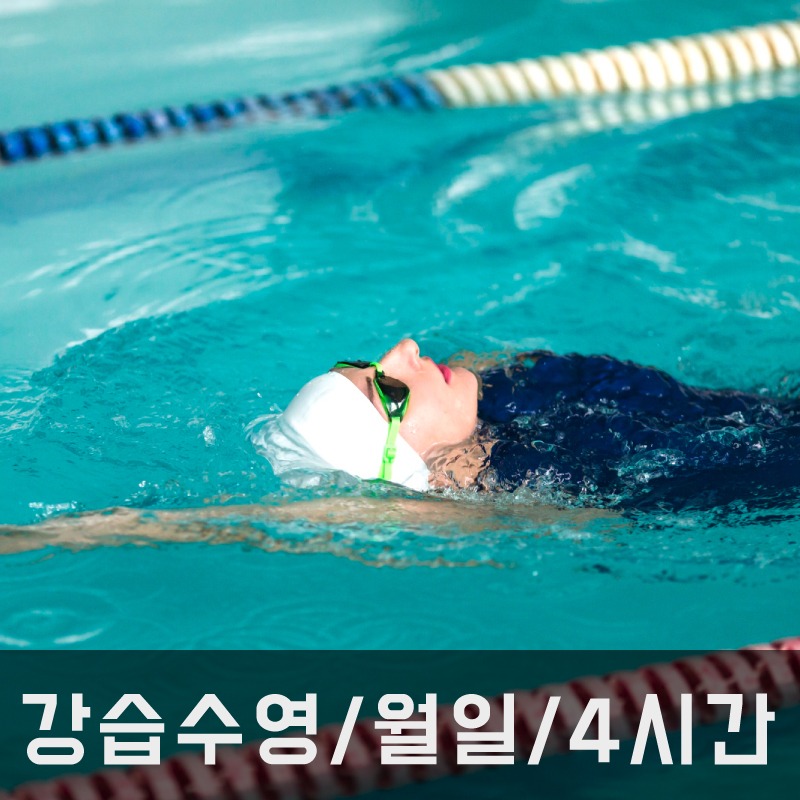 강습수영/ 월-일/ 4시간