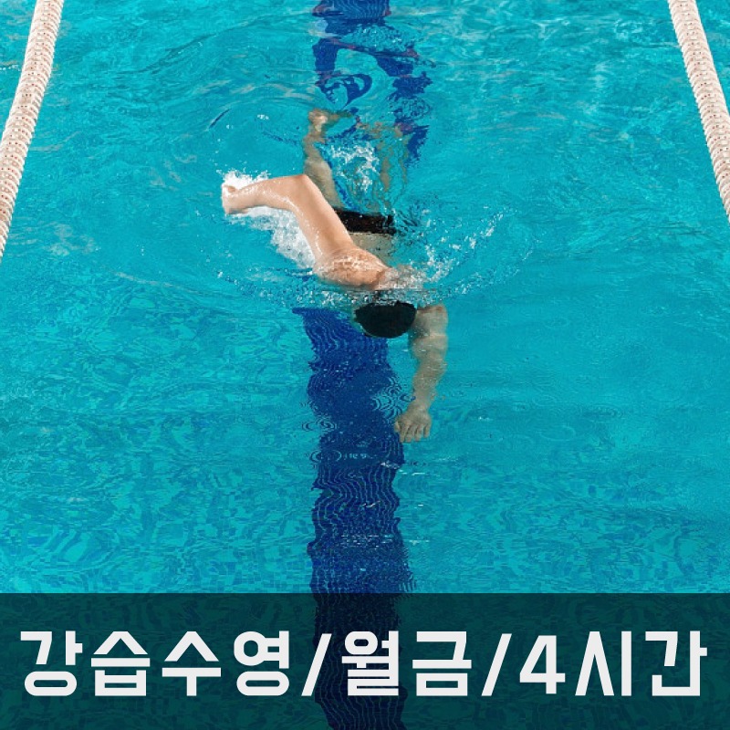 강습수영/ 월-금/ 4시간