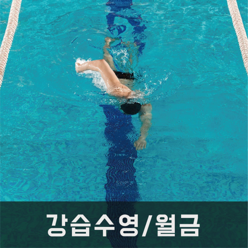 강습수영/ 월-금