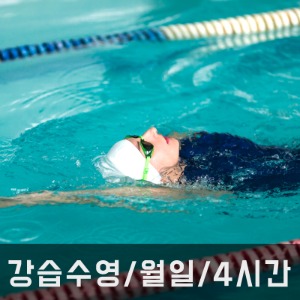 강습수영/ 월-일/ 4시간