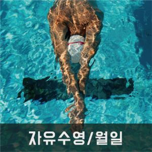 자유수영/ 월-일